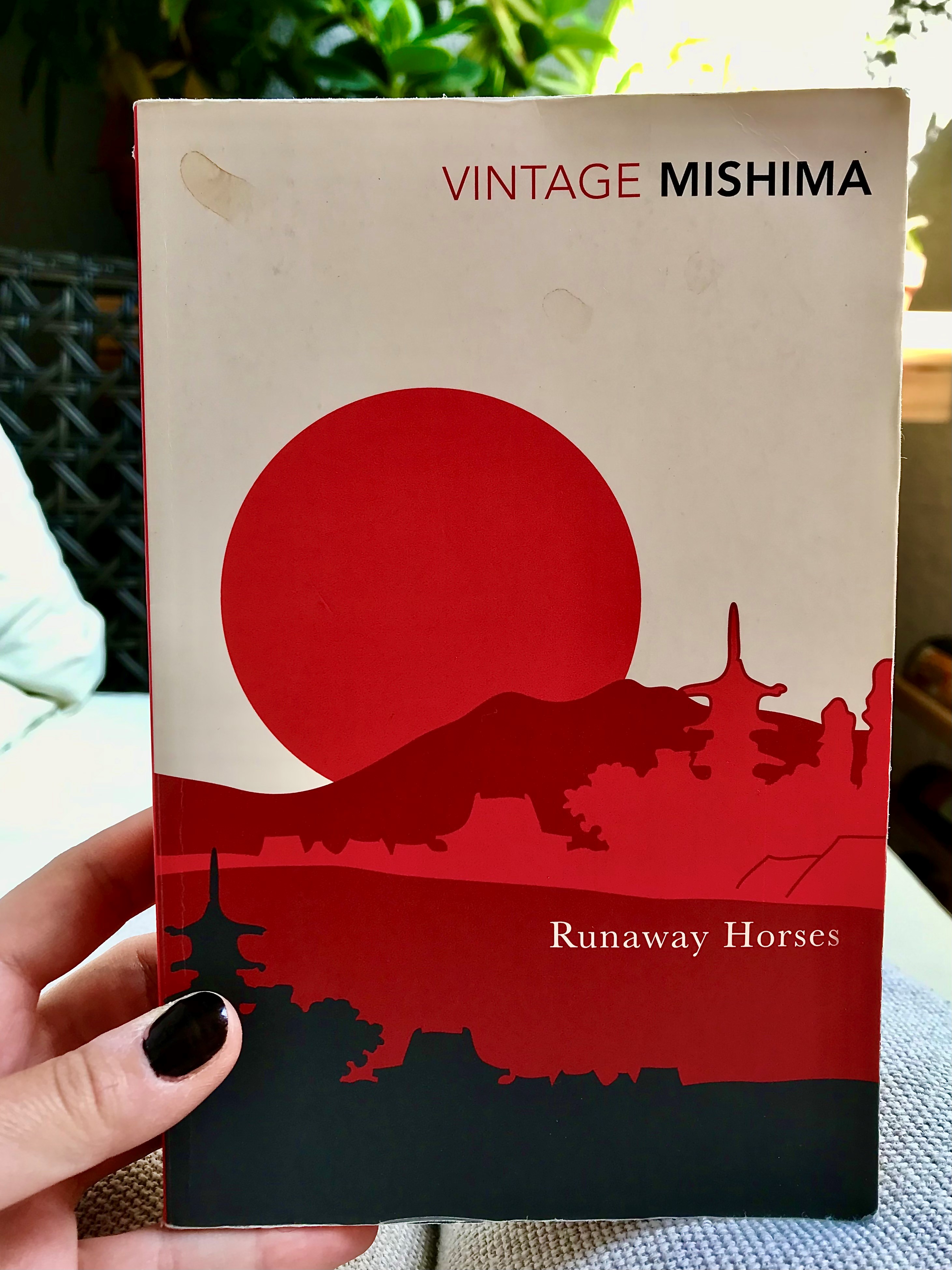 Runaway horses - book cover